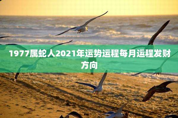 1977属蛇人2021年运势运程每月运程发财方向