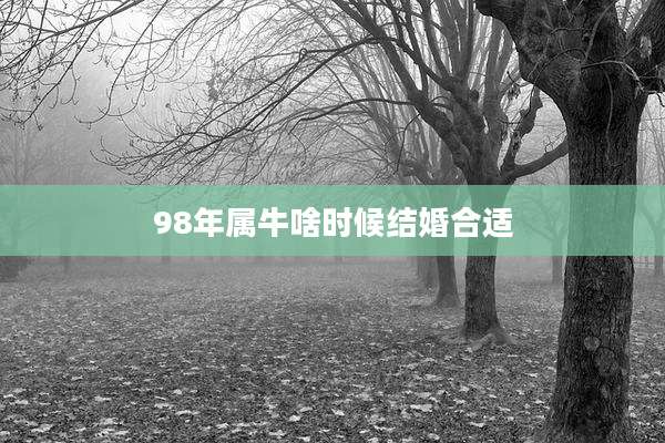 98年属牛啥时候结婚合适