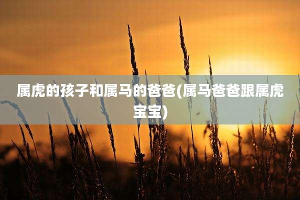 属虎的孩子和属马的爸爸(属马爸爸跟属虎宝宝)