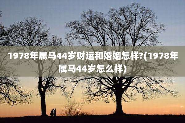 1978年属马44岁财运和婚姻怎样?(1978年属马44岁怎么样)
