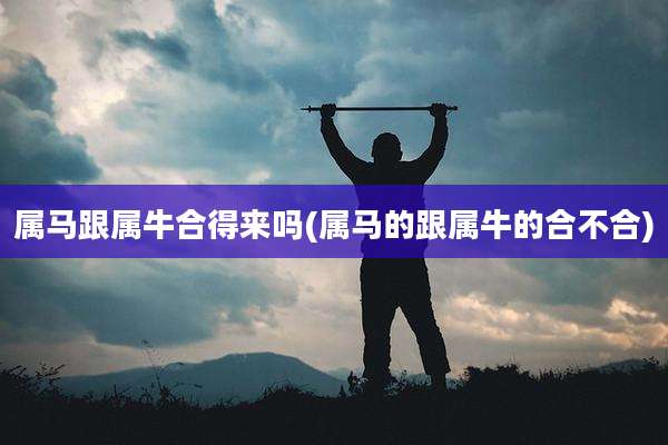 属马跟属牛合得来吗(属马的跟属牛的合不合)