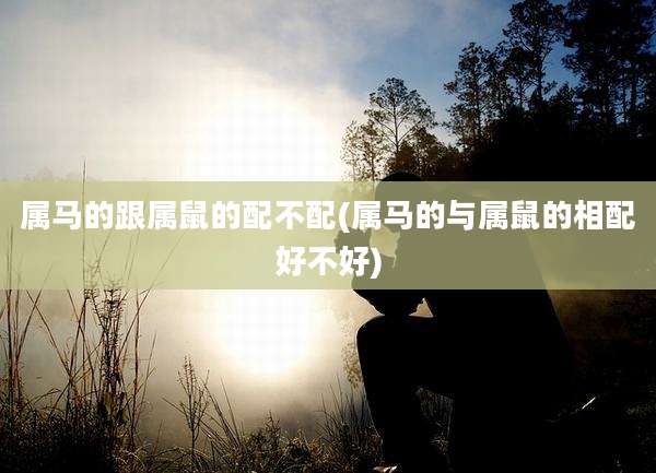 属马的跟属鼠的配不配(属马的与属鼠的相配好不好)