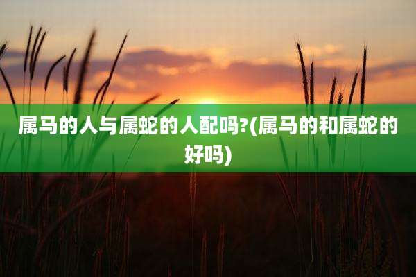 属马的人与属蛇的人配吗?(属马的和属蛇的好吗)
