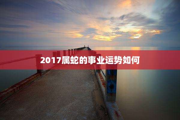 2017属蛇的事业运势如何