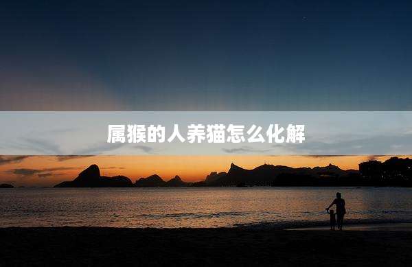 属猴的人养猫怎么化解