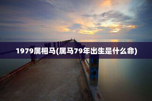 1979属相马(属马79年出生是什么命)