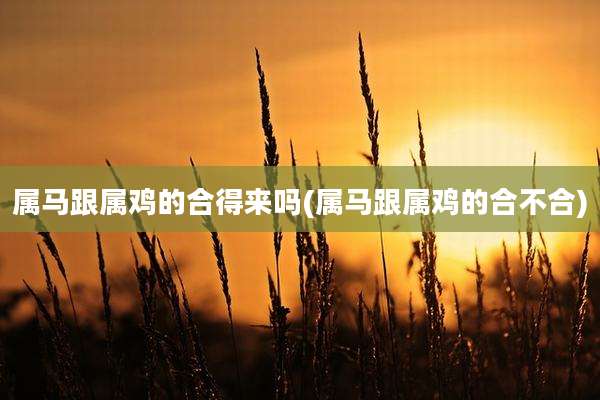 属马跟属鸡的合得来吗(属马跟属鸡的合不合)