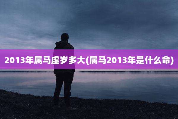 2013年属马虚岁多大(属马2013年是什么命)