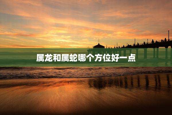 属龙和属蛇哪个方位好一点