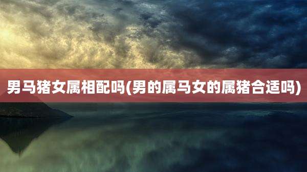 男马猪女属相配吗(男的属马女的属猪合适吗)