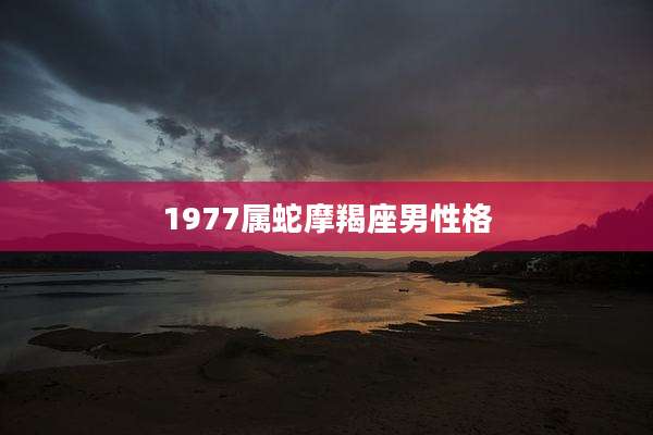 1977属蛇摩羯座男性格