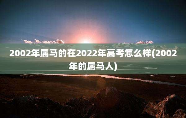 2002年属马的在2022年高考怎么样(2002年的属马人)