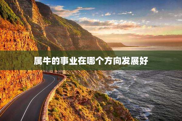 属牛的事业在哪个方向发展好