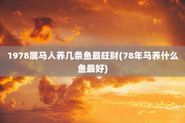 1978属马人养几条鱼最旺财(78年马养什么鱼最好)