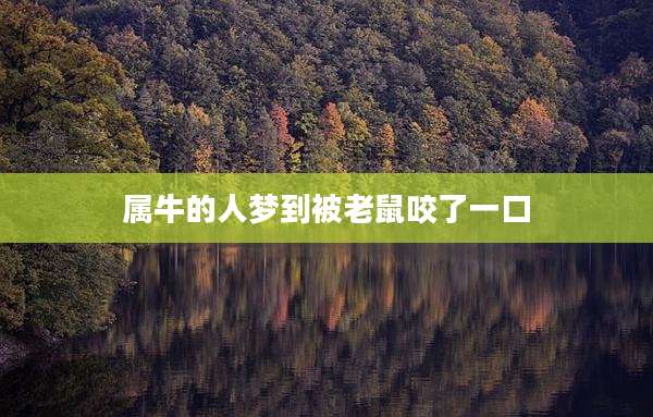 属牛的人梦到被老鼠咬了一口