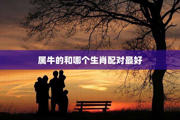 属牛的和哪个生肖配对最好