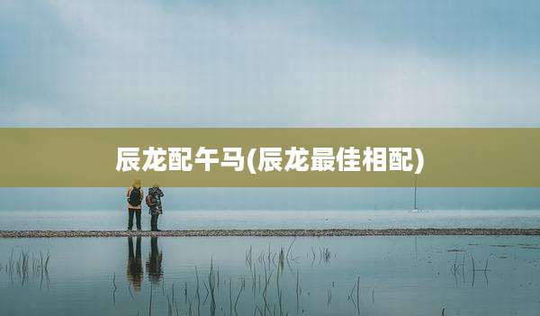 辰龙配午马(辰龙最佳相配)