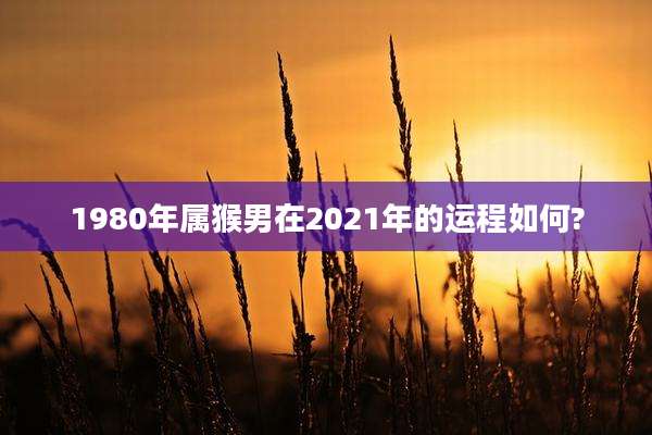 1980年属猴男在2021年的运程如何?