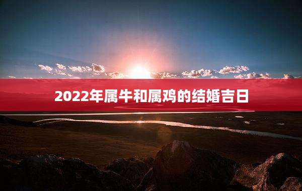 2022年属牛和属鸡的结婚吉日