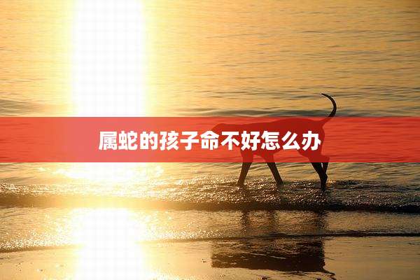 属蛇的孩子命不好怎么办