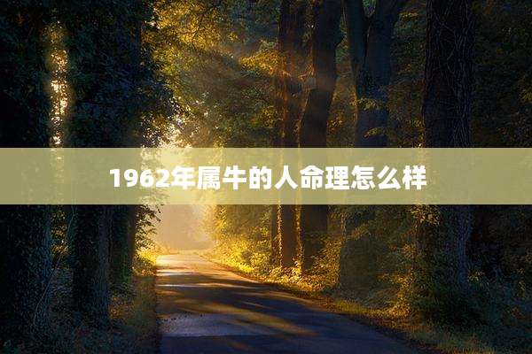 1962年属牛的人命理怎么样