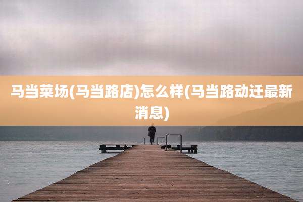 马当菜场(马当路店)怎么样(马当路动迁最新消息)