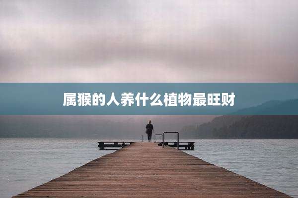 属猴的人养什么植物最旺财