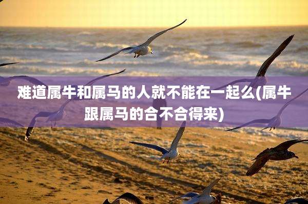 难道属牛和属马的人就不能在一起么(属牛跟属马的合不合得来)