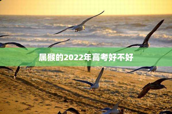 属猴的2022年高考好不好