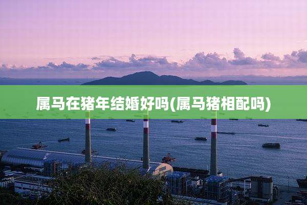 属马在猪年结婚好吗(属马猪相配吗)