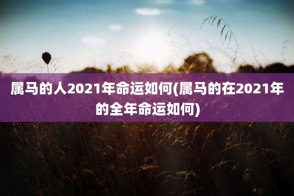 属马的人2021年命运如何(属马的在2021年的全年命运如何)
