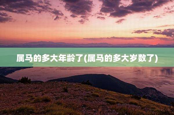 属马的多大年龄了(属马的多大岁数了)