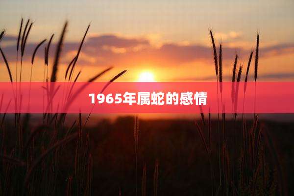 1965年属蛇的感情