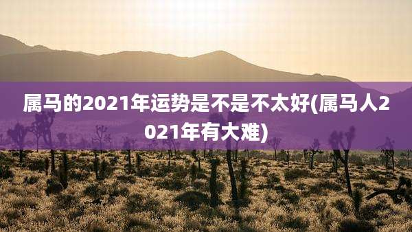属马的2021年运势是不是不太好(属马人2021年有大难)
