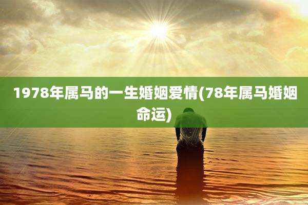 1978年属马的一生婚姻爱情(78年属马婚姻命运)