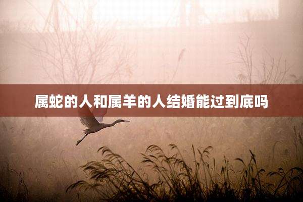 属蛇的人和属羊的人结婚能过到底吗