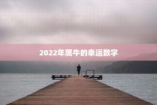 2022年属牛的幸运数字