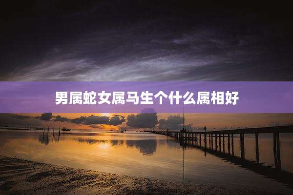 男属蛇女属马生个什么属相好