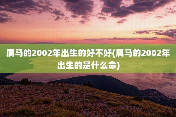 属马的2002年出生的好不好(属马的2002年出生的是什么命)