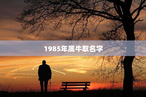 1985年属牛取名字