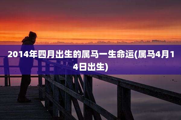 2014年四月出生的属马一生命运(属马4月14日出生)