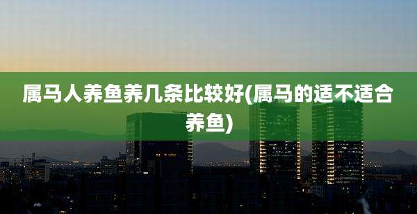 属马人养鱼养几条比较好(属马的适不适合养鱼)