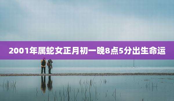 2001年属蛇女正月初一晚8点5分出生命运