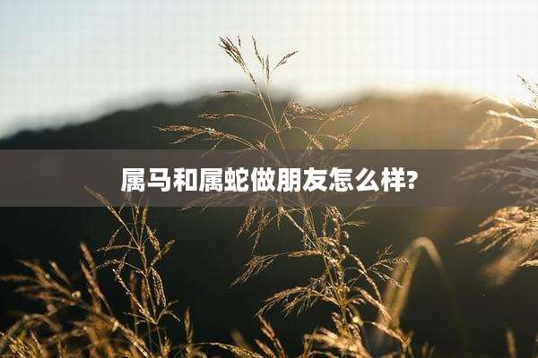 属马和属蛇做朋友怎么样?
