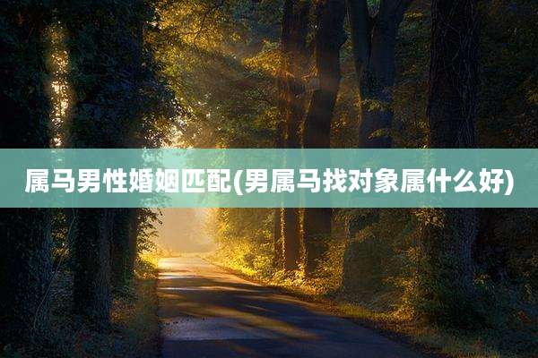 属马男性婚姻匹配(男属马找对象属什么好)
