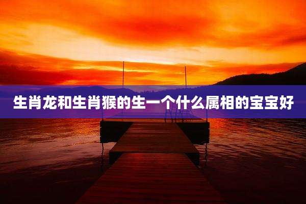 生肖龙和生肖猴的生一个什么属相的宝宝好