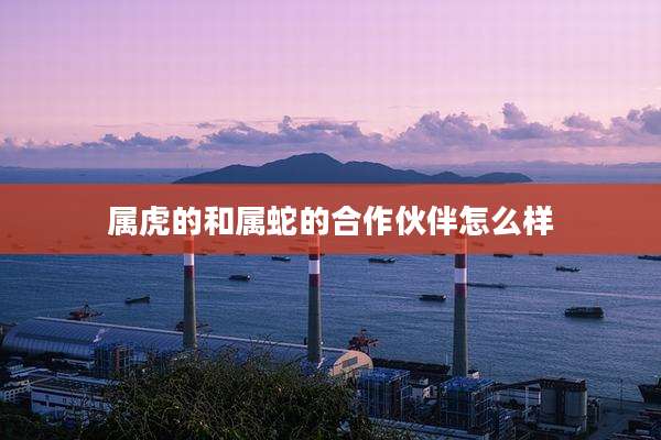 属虎的和属蛇的合作伙伴怎么样