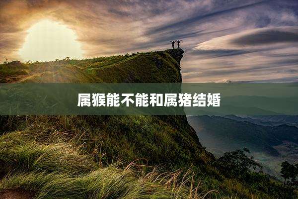 属猴能不能和属猪结婚