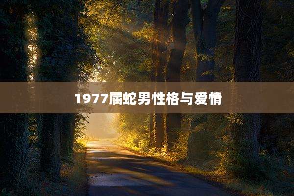 1977属蛇男性格与爱情