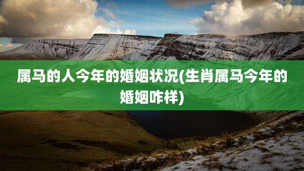 属马的人今年的婚姻状况(生肖属马今年的婚姻咋样)